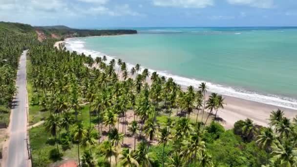 Praia Tropical Japaratinga Alagoas Brasil Paisagem Turística Fundo Das Caraíbas — Vídeo de Stock