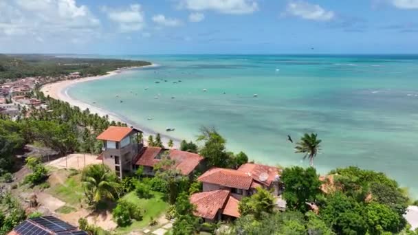 Alagoas Brezilya Daki Japaratinga Plaj Sahnesi Turizm Arazisi Karayip Arka — Stok video
