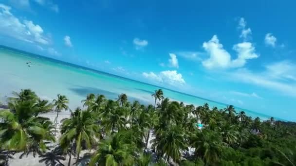 Antunes Beach Bij Maragogi Alagoas Brazilië Toerisme Landschap Caribische Achtergrond — Stockvideo