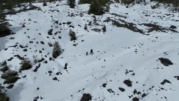 位于智利洛斯里奥斯维拉里卡的雪谷 旅行场景 雪帽秃鹰 冻结的森林树 维拉卡智利 冬季风景 智利洛斯里奥斯维拉里卡的雪谷 — 图库视频影像