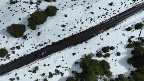 ロスリオスチリのヴィラリカで凍結道路 トラベルシーン 雪が降ったヴァルカン 凍った森の木 ヴィラリカ 冬の風景 ロスリオスチリのヴィラリカでの凍結道路 — ストック動画