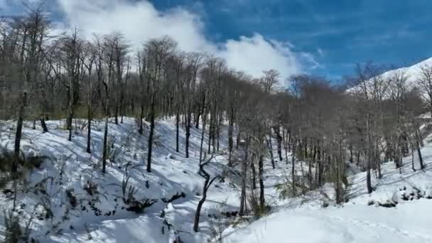 Villarrica Vulkaan Bij Pucon Los Lagos Chili Vulkaanlandschap Sneeuw Bedekte — Stockvideo