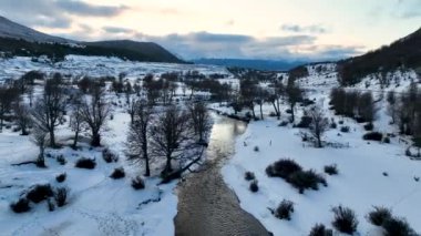 Arjantin 'in sonundaki Ushuaia' daki donmuş orman. Karlı Dağlar. Buzul Manzarası. Arjantin 'in sonu. Kış Yolculuğu. Ushuaia 'daki Donmuş Orman Dünya Arjantin' inin Sonu.