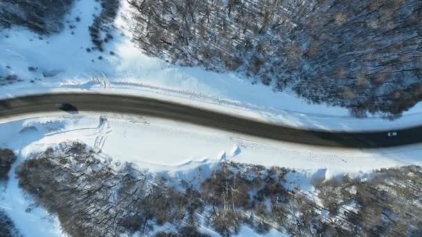 Landstraße Bei Ushuaia Ende Der Welt Argentinien Schneeberge Gletscherlandschaft Das — Stockvideo