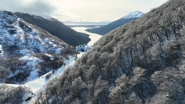 ガリバルディ アット ウシュアイア フエゴ アルゼンチン スノーウィー山脈 氷河の景観 アルゼンチン フエゴ 冬の背景 — ストック動画