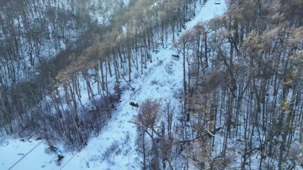 Kolejka Linowa Stacji Narciarskiej Ushuaia Argentina Śnieżne Góry Ośrodek Narciarski — Wideo stockowe