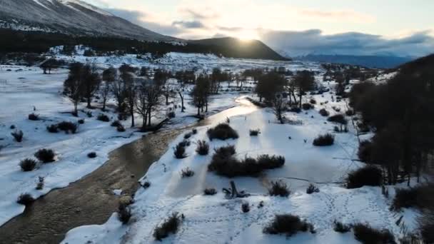 Роща Восхода Солнца Ушуайе Огненной Земле Аргентины Снежные Горы Пейзаж — стоковое видео