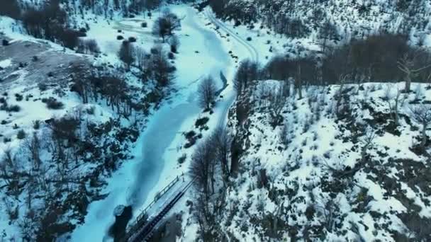 Snowy Grove Ushuaia Końcu Świata Argentyny Śnieżne Góry Krajobraz Lodowcowy — Wideo stockowe