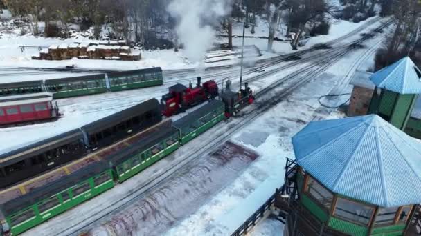 Tierra Del Fuego Arjantin Deki Ushuaia Tren Stasyonu Kış Yolculuğu — Stok video