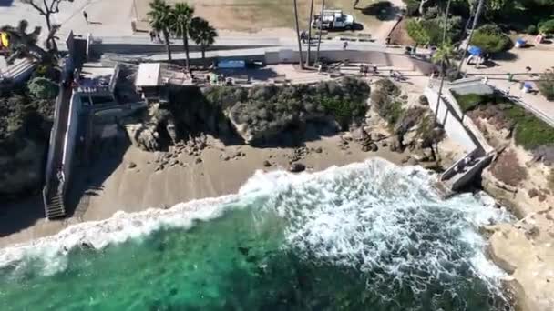 San Diego Kaliforniya Daki Jolla Koyu Coast City Peyzajı Seascape — Stok video