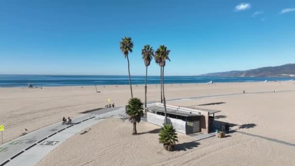 Palm Trees Beach Los Angeles Californië Verenigde Staten Stadslandschap Van — Stockvideo