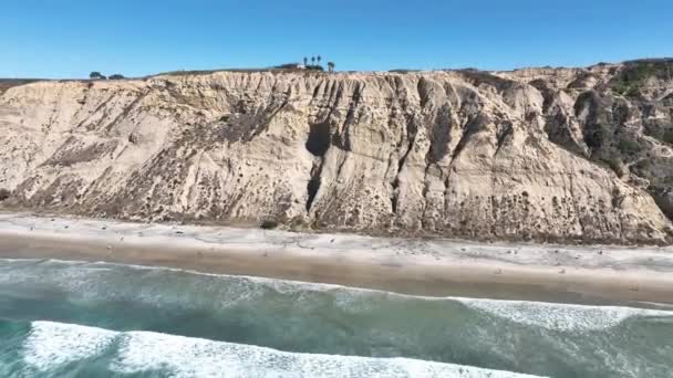 Blacks Beach San Diego Kalifornii Stany Zjednoczone Paradisiac Beach Krajobrazy — Wideo stockowe