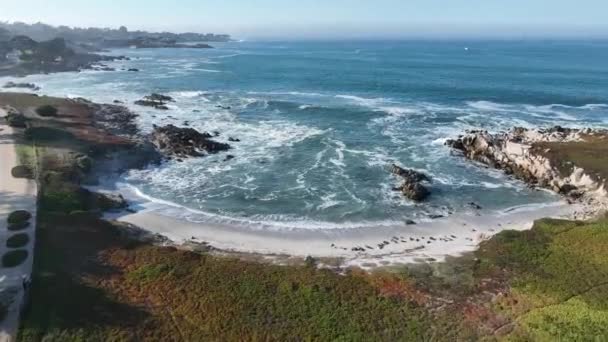 Beach Scenery Monterey California Spojené Státy Cestování Přírodou Dovolená Destinace — Stock video
