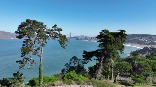 Golden Gate Park San Francisco Californië Verenigde Staten Megalopolis Downtown — Stockvideo