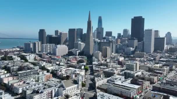 Traffic Avenue San Francisco Californie Aux États Unis Downtown City — Video