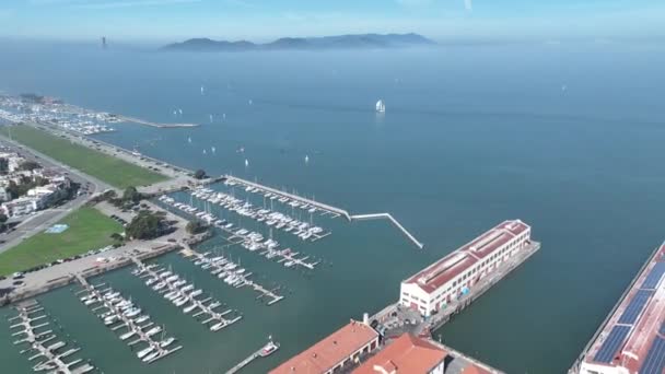 Kaliforniya San Francisco Tekne Suda Megalopolis Şehir Merkezi Seyahati San — Stok video
