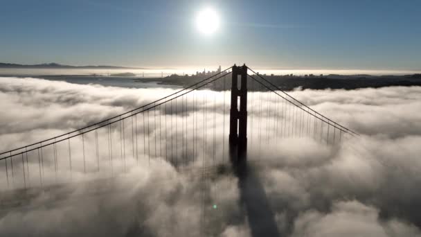 Golden Gate Bridge Aerial San Francisco California United States Megalopolis — Stock Video