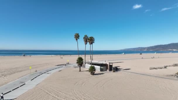 Пальмовые Деревья Санта Монике Лос Анджелесе Сша Пейзаж Прибрежного Города — стоковое видео