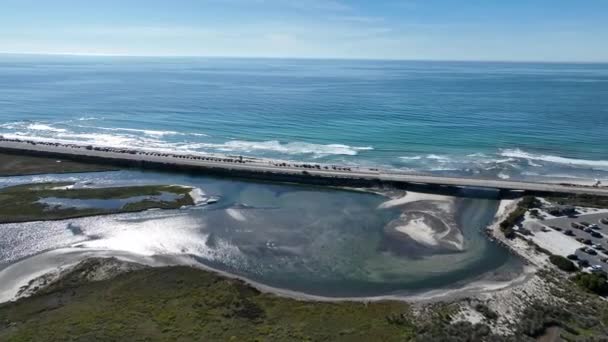 Torrey Pines Eyalet Plajı San Diego Kaliforniya Abd Paradisiac Sahili — Stok video