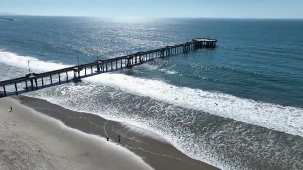 Венецианский Пирс Лос Анджелесе Калифорния Сша Paradisiac Beach Scenery Морской — стоковое видео