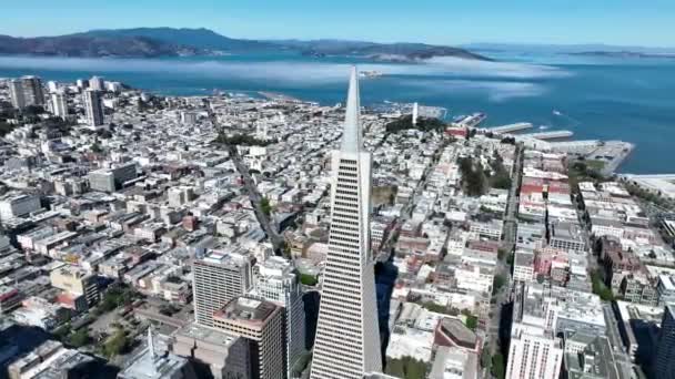 カリフォルニア州サンフランシスコのトランスアメリカピラミッド 高層ビル建築について 観光旅行について カリフォルニア州サンフランシスコでトランスアメリカピラミッド — ストック動画