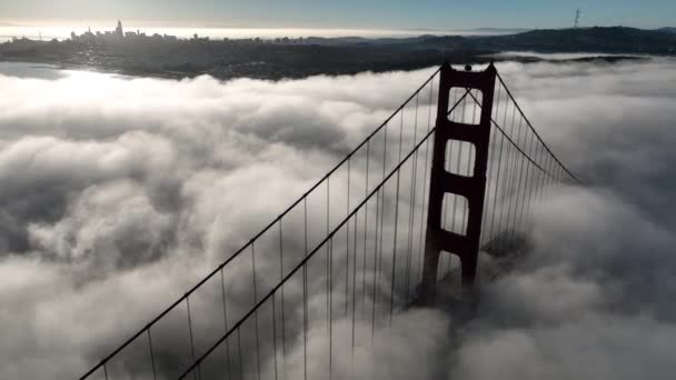Kaliforniya San Francisco Daki Golden Gate Köprüsü Havalimanı Megalopolis Şehir — Stok video