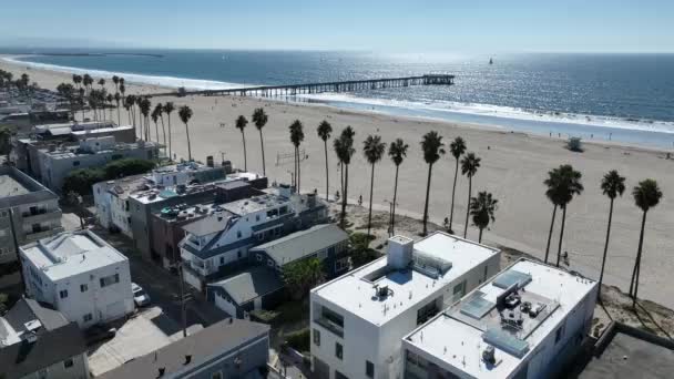 Venice Beach Los Angelesben Kaliforniában Paradisiac Beach Táj Tengeri Mérföldkő — Stock videók