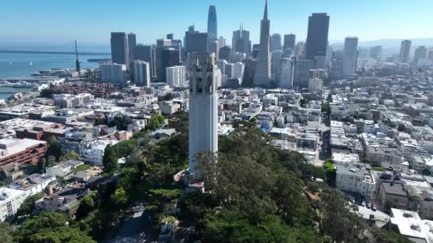 美国加州旧金山的Coit塔 市中心城市天际线 交通场景 美国加利福尼亚州旧金山的Coit塔 — 图库视频影像