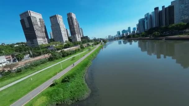 Bruno Covas Park Paulo San Paulo Brazil Мост Центре Парк — стоковое видео