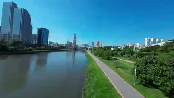 Bruno Covas Park Paulo Sao Paulo Brésil Pont Centre Ville — Video