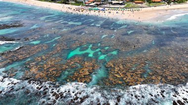 Pernambuco Brezilya 'daki Tavukların Limanı' nda Cupe Plajı. Egzotik Körfez Suyu. Doğa manzarası. Paradisiac Manzarası. Seyahat güzergahı. Pernambuco Brezilya 'daki Tavukların Limanı' nda Cupe Plajı.