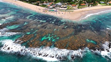 Pernambuco Brezilya 'daki Tavukların Limanı' nda Cupe Plajı. Mercan Kayalıkları Körfezi Suyu. Doğa manzarası. Cennet Manzarası. Seyahat belgesi. Pernambuco Brezilya 'daki Tavukların Limanı' nda Cupe Plajı.