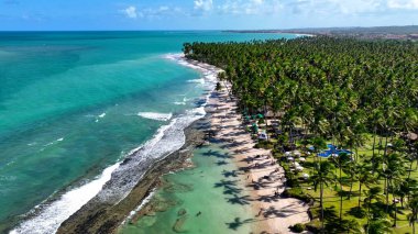 Pernambuco Brezilya 'daki Tamandare' de koyun kumsalı. Egzotik Körfez Suyu. Doğa manzarası. Cennet Manzarası. Seyahat belgesi. Pernambuco Brezilya 'da Tamandare' de Koyun Plajı.