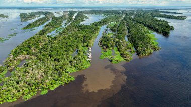 Amazon Ormanı 'nda Amazon Nehri' nin yüzen restoranları. Manaus Brezilya. Doğa, vahşi hayat manzarası. Yeşil arka plan. Amazonas eyaletindeki orman ağaçları. Turizm cazibesi. Seyahat hedefi.