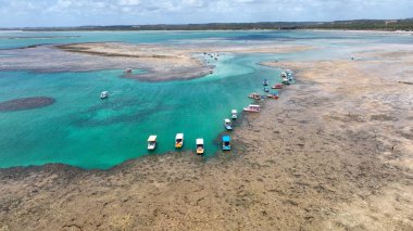Patacho Doğa Havuzu Sao Miguel Dos Milagres Alagoas Brezilya 'da. Mercan Resifi Körfezi Suyu. Doğa manzarası. Paradisiac Manzarası. Seyahat güzergahı. Sao Miguel Dos Milagres Alagoas.