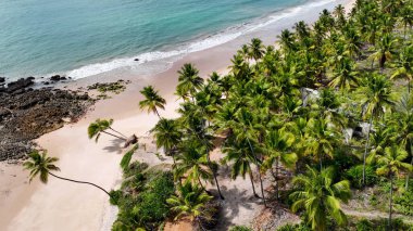 Paraiba Brezilya 'daki Conde' de Coqueirinho Plajı. Plaj manzarası. Seyahat güzergahı. Doğa Arkaplanı. Açık hava antenleri. Conde Paraiba Brezilya 'da Coqueirinho Plajı.