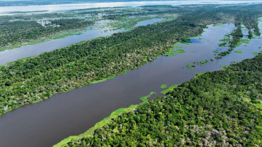 Amazon Ormanı 'nda Amazon Nehri' nin yüzen restoranları. Manaus Brezilya. Doğa, vahşi hayat manzarası. Yeşil arka plan. Amazonas eyaletindeki orman ağaçları. Turizm cazibesi. Seyahat hedefi.
