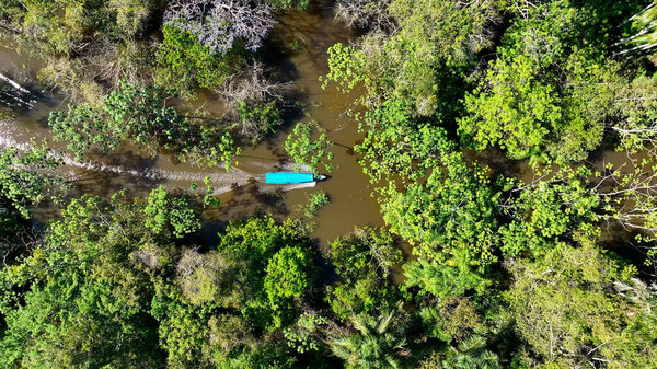 Boat sailing at Amazon river at Amazon forest at Amazonas state Brazil. Mangrove forest. Mangrove trees. Brazilian amazon rainforest nature landscape. Amazon igapo submerged vegetation.