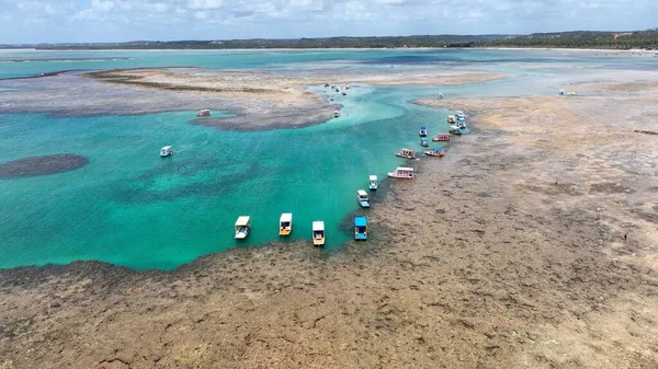 Patacho Doğa Havuzu Sao Miguel Dos Milagres Alagoas Brezilya 'da. Mercan Resifi Körfezi Suyu. Doğa manzarası. Paradisiac Manzarası. Seyahat güzergahı. Sao Miguel Dos Milagres Alagoas.