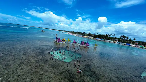 Pernambuco Brezilya 'daki Tavukların Limanı' ndaki Doğa Havuzları. Mercan Resifi Körfezi Suyu. Doğa manzarası. Paradisiac Manzarası. Seyahat güzergahı. Port of Chicken Pernambuco Brezilya 'da Doğa Havuzları.