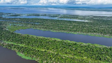 Amazon Ormanı 'ndaki Amazon Nehri. Dünyanın ünlü tropikal ormanları. Manaus Brezilya. Amazon ekosistemi. Doğa, vahşi hayat manzarası. Solimoes Amazon Nehri biyolojisi. Amazon yaşam tarzı.