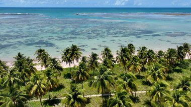 Sao Miguel dos Milagres Alagoas Brezilya 'daki Patacho plajı. Kuzeydoğu Brezilya. Mercan resifleri doğal havuzlar. Alagoas Brezilya 'daki Mucize Yolu. Tropik seyahat yerleri. Yaz mevsimleri.