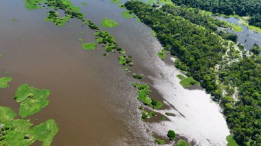 Amazon Nehri, Amazon Yağmur Ormanı. Dünyanın en büyük tropikal yağmur ormanları. Manaus Brezilya. Amazonia ekosistemi. Doğa, vahşi hayat manzarası. Küresel ısınma emisyonlarında azalma. Amazon nehri vahşi yaşamı.