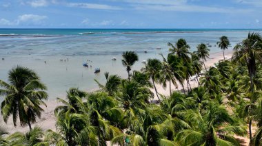 Sao Miguel dos Milagres Alagoas Brezilya 'daki Patacho plajı. Kuzeydoğu Brezilya. Mercan resifleri doğal havuzlar. Alagoas Brezilya 'daki Mucize Yolu. Tropik seyahat yerleri. Yaz mevsimleri.