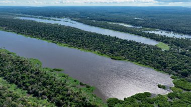 Amazon Ormanı 'nda Amazon Nehri' nin yüzen restoranları. Manaus Brezilya. Doğa, vahşi hayat manzarası. Yeşil arka plan. Amazonas eyaletindeki orman ağaçları. Turizm cazibesi. Seyahat hedefi.