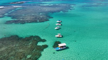 Alagoas Brezilya 'daki Japaratinga Doğal Havuzları. Mercan Kayalıkları Körfezi Suyu. Doğa manzarası. Açık hava manzarası. Seyahat güzergahı. Tatil Yazı. Alagoas Brezilya 'daki Japonya Doğal Havuzları.