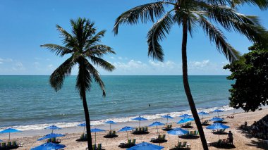 Maceio Alagoas Brezilya. Alagoas Brezilya 'nın turizm simgesi. Kuzeydoğu Brezilya 'nın tarihi plajı. Tropik seyahat. Seyahat güzergahı. Karayip manzarası.