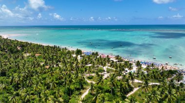 Alagoas Brezilya 'daki Maragogi Plaj Sahnesi. Turizm arazisi. Karayip arka planı. Seyahat Manzarası. Tatil Varış Yeri. Göz kamaştırıcı sahne. Alagoas Brezilya 'daki Maragogi Plaj Sahnesi.