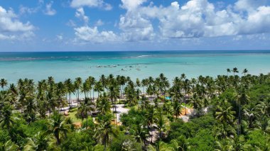 Alagoas Brezilya 'daki Maragogi Tropik Plajı. Turizm arazisi. Karayip arka planı. Seyahat Manzarası. Tatil Tatilleri. Deniz kenarı sahnesi. Alagoas Brezilya 'daki Maragogi Tropik Plajı.