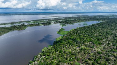 Amazon ormanlarının Amazon Brezilya 'daki doğa manzarası. Mangrove Ormanı. Mangrove ağaçları. Amazon yağmur ormanları doğa manzarası. Amazon igapo su altındaki bitki örtüsü. Amazonas Brezilya 'daki su baskını ormanı.